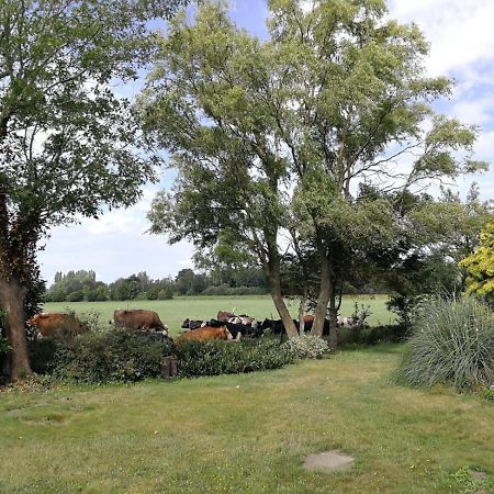 Vinkelaar 11 Villa Terschuur Luaran gambar