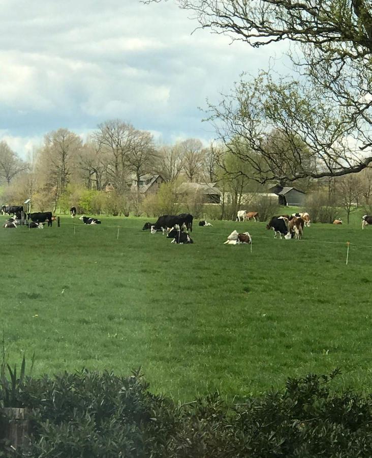 Vinkelaar 11 Villa Terschuur Luaran gambar